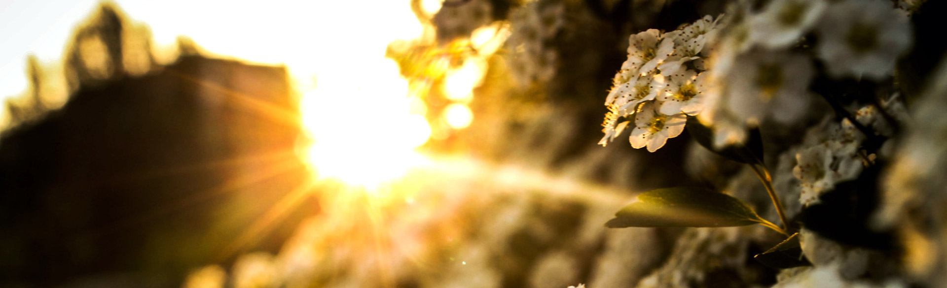 Open Transportation Constructor